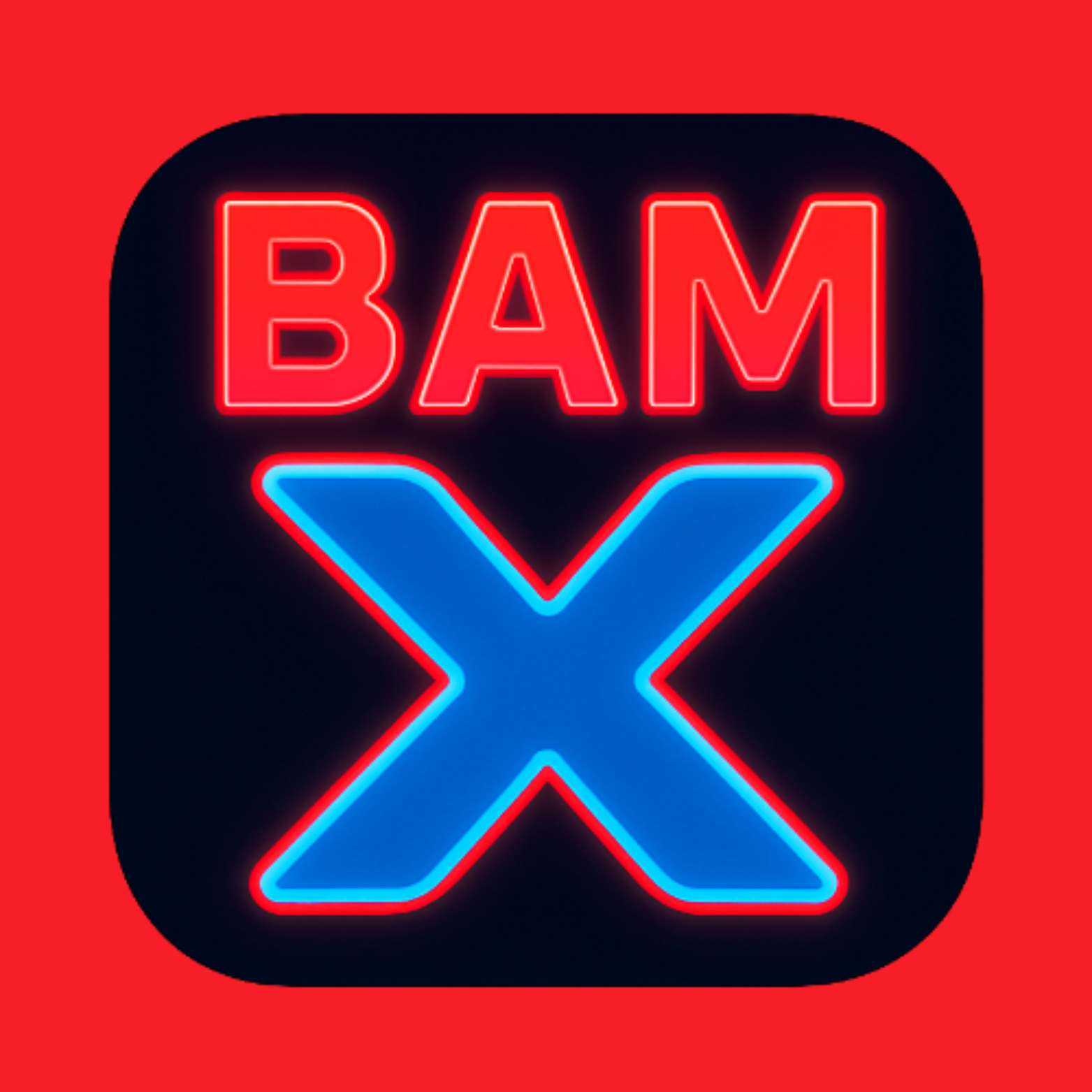 Bam-X Developer Services Image